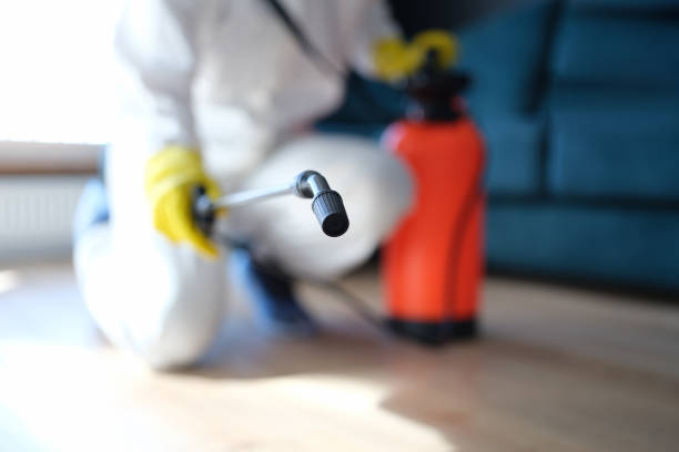 Forensic Mold Investigation in Totowa, NJ
