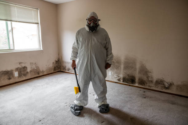 Best Industrial Mold Remediation  in Totowa, NJ